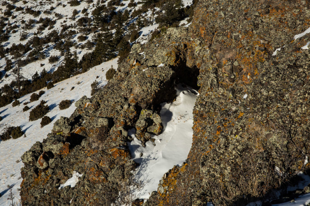 a photo of the entrance to a mountain lion den, snowy